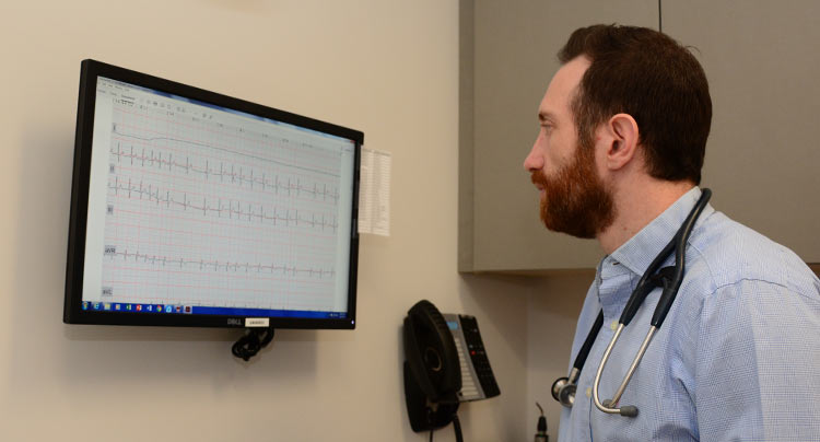 Veterinary Echocardiography at Oyster Bay Animal Hospital